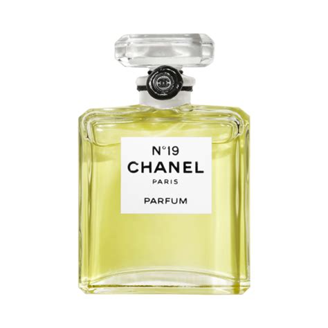 chanel 19 fragrance